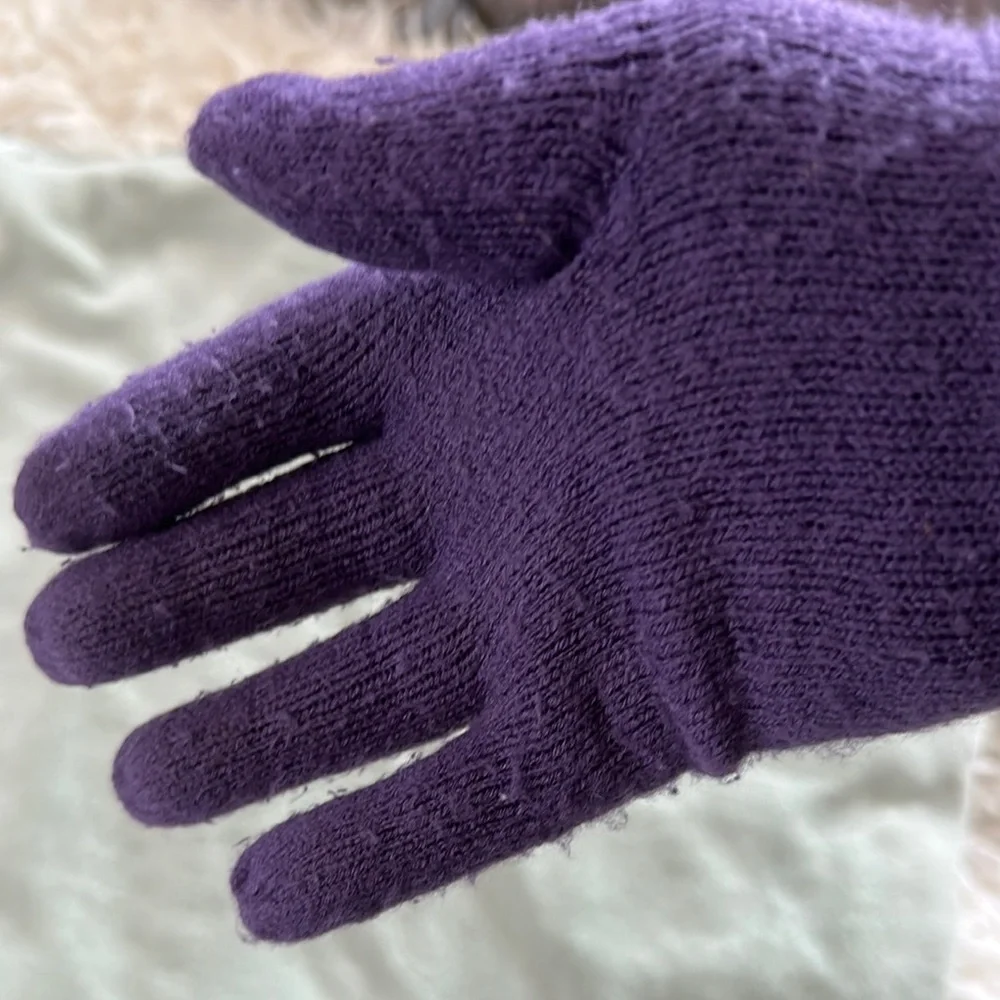Echo Soft Elegant Purple Knit Gloves
